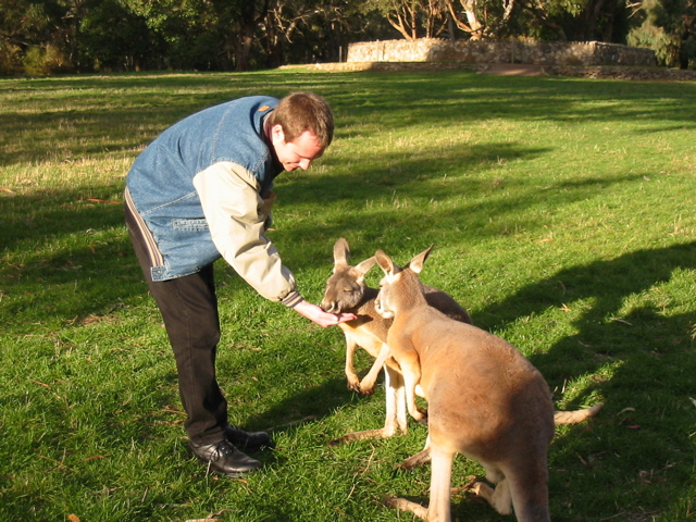 Cleland Wildlife Park