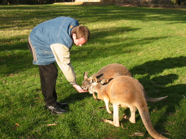 Cleland Wildlife Park