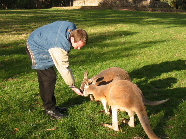 Cleland Wildlife Park