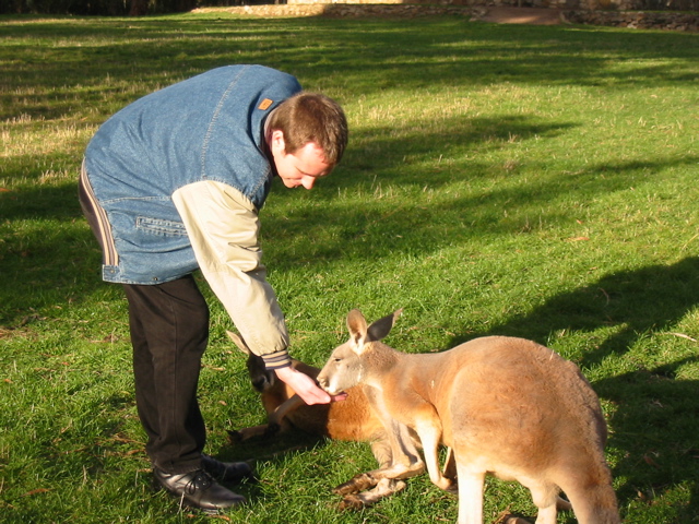 Cleland Wildlife Park