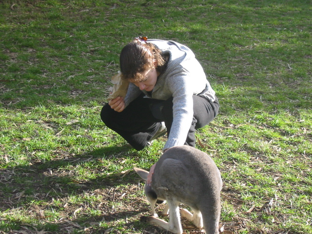 Cleland Wildlife Park