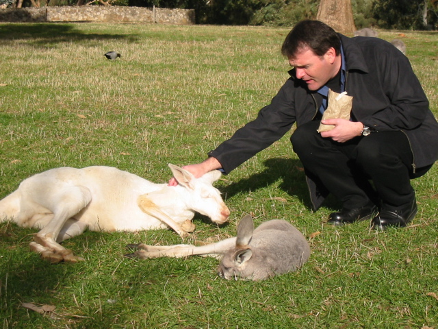 Cleland Wildlife Park