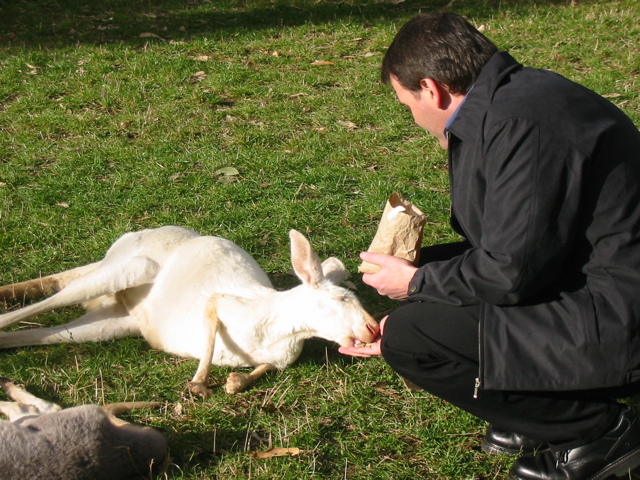 Cleland Wildlife Park
