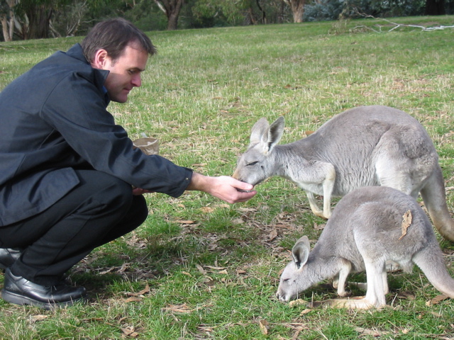 Cleland Wildlife Park