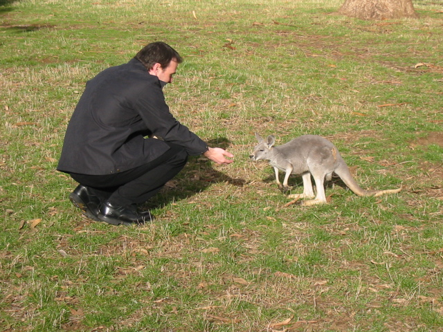 Cleland Wildlife Park
