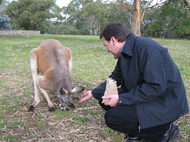 Cleland Wildlife Park