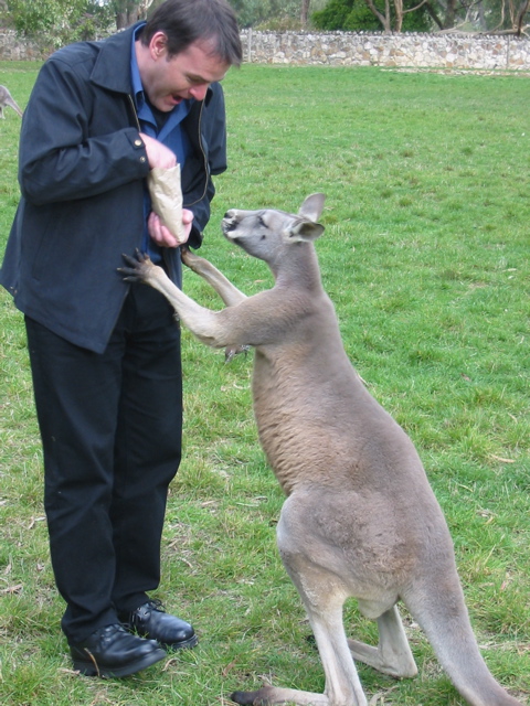 Cleland Wildlife Park