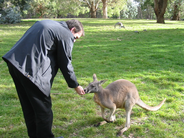 Cleland Wildlife Park
