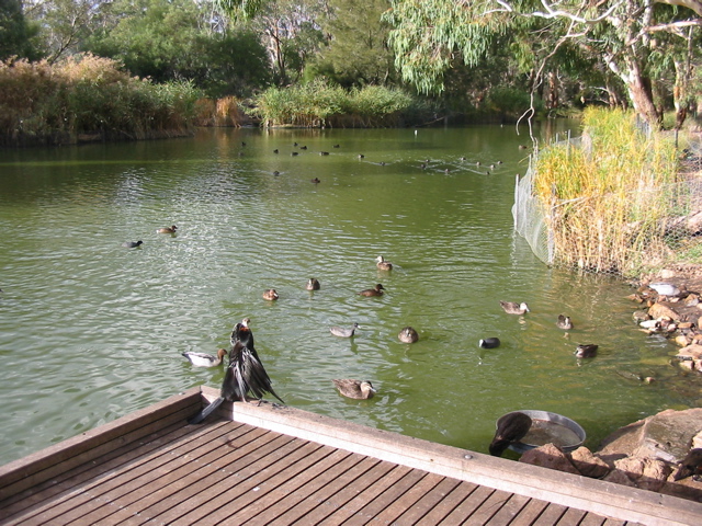 Cleland Wildlife Park
