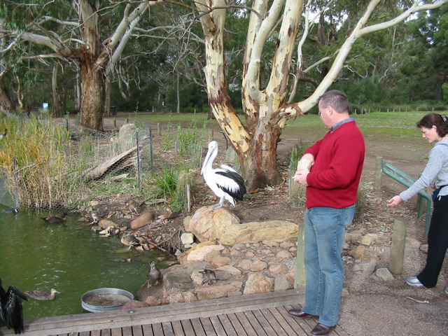 Cleland Wildlife Park
