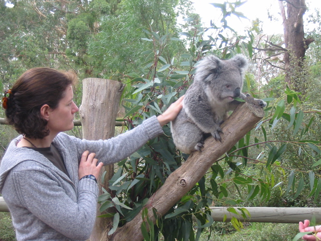 Cleland Wildlife Park