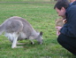 Cleland Wildlife Park
