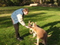 Cleland Wildlife Park