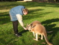 Cleland Wildlife Park