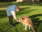 Cleland Wildlife Park