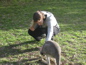Cleland Wildlife Park