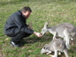 Cleland Wildlife Park