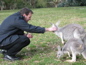 Cleland Wildlife Park
