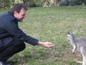 Cleland Wildlife Park