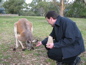 Cleland Wildlife Park