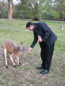 Cleland Wildlife Park
