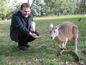 Cleland Wildlife Park