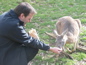 Cleland Wildlife Park