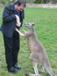 Cleland Wildlife Park