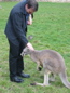 Cleland Wildlife Park