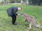 Cleland Wildlife Park