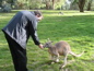 Cleland Wildlife Park