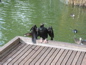 Cleland Wildlife Park