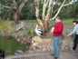 Cleland Wildlife Park