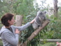 Cleland Wildlife Park