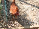 IMG_0076.JPG