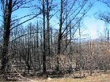 IMG_0804.JPG