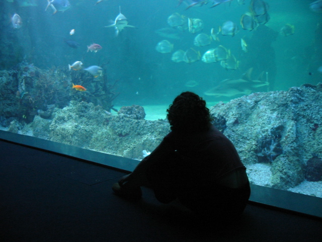 Jessica in front of the wall of fish