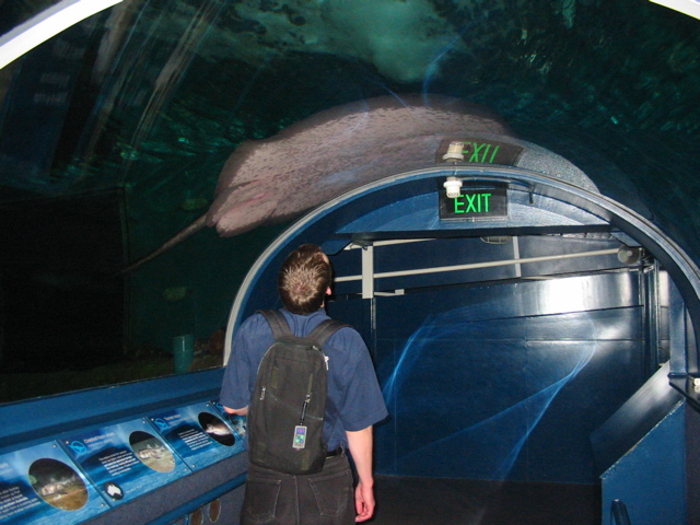Grant and a large ray