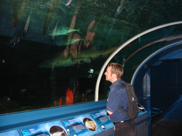 Grant in the Tunnel