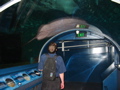 Grant and a large ray