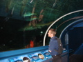 Grant in the Tunnel