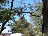 IMG_0885.JPG