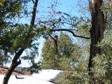 IMG_0882.JPG