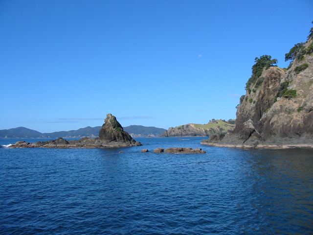 IMG_2335.JPG