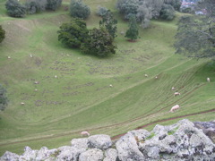 IMG_2318.JPG