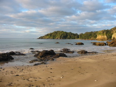 IMG_2329.JPG