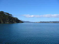 IMG_2330.JPG