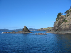 IMG_2335.JPG