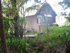 IMG_2345.JPG