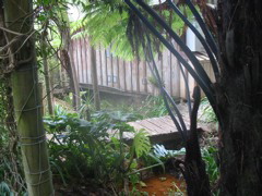 IMG_2346.JPG